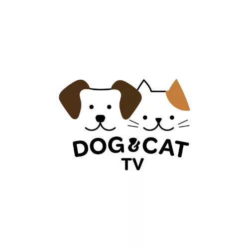 Dog & Cat TV