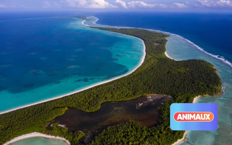 LES ÎLES CHAGOS, UN ARCHIPEL PROTÉGÉ