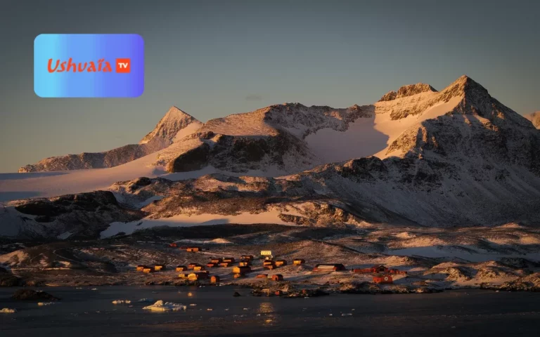 Les sentinelles de l'Antarctique