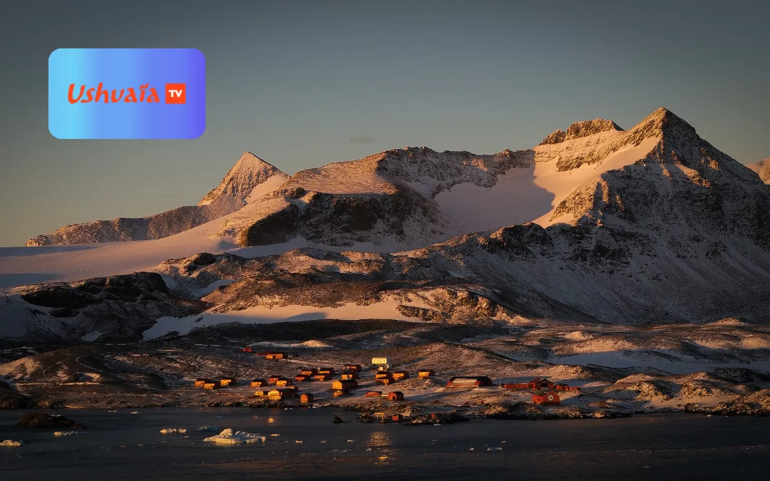 Les sentinelles de l’Antarctique : immersion au bout du monde