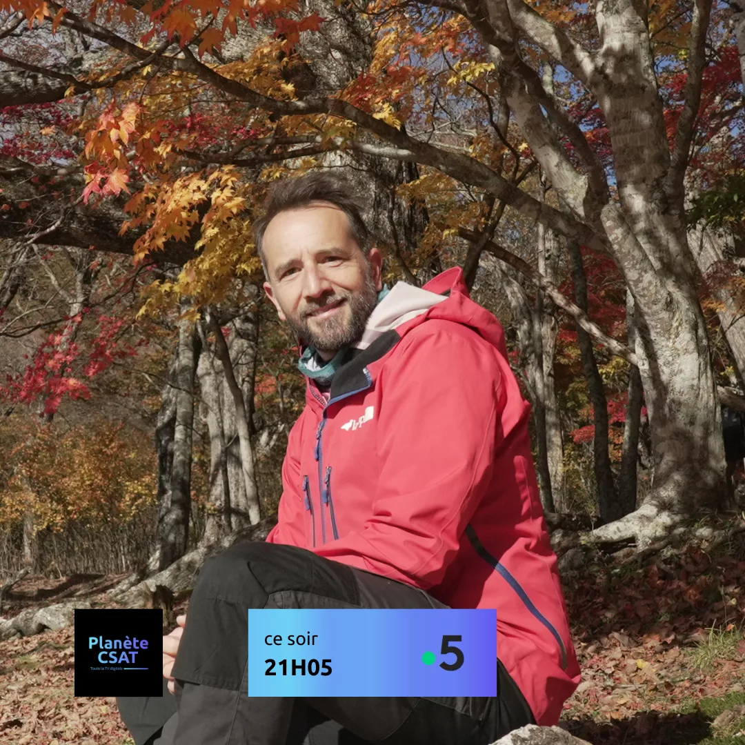 Échappées belles : un voyage fascinant au cœur de Tokyo sur France 5