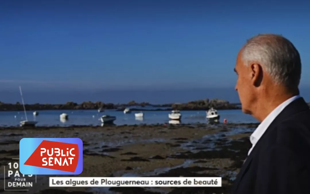 Innovation et traditions : Découvrez le Finistère sous un nouveau jour dans 1000 pays pour demain sur Public Sénat