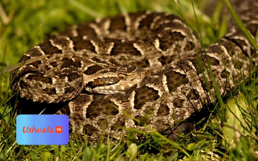 Uruguay sauvage : un paradis naturel insoupçonné à découvrir ce vendredi soir