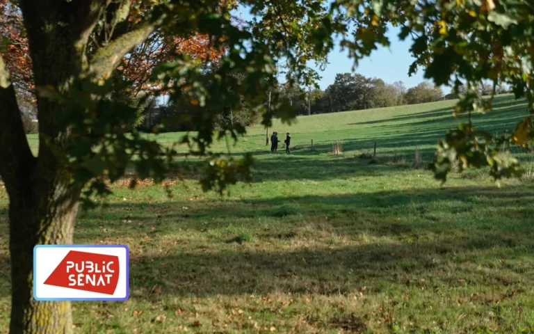 Le village qui voulait replanter des arbres