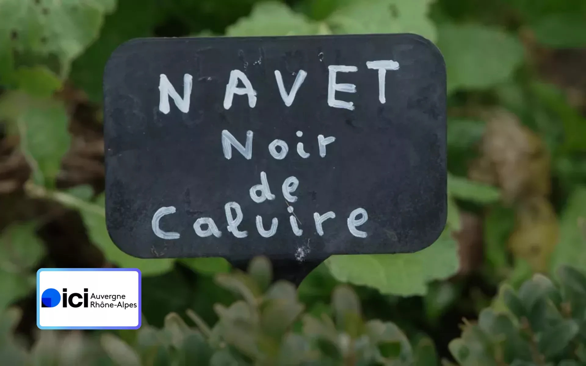 Nos terres gourmandes en balade