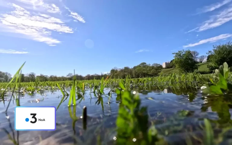 Se Réinventer en Nouvelle-Aquitaine