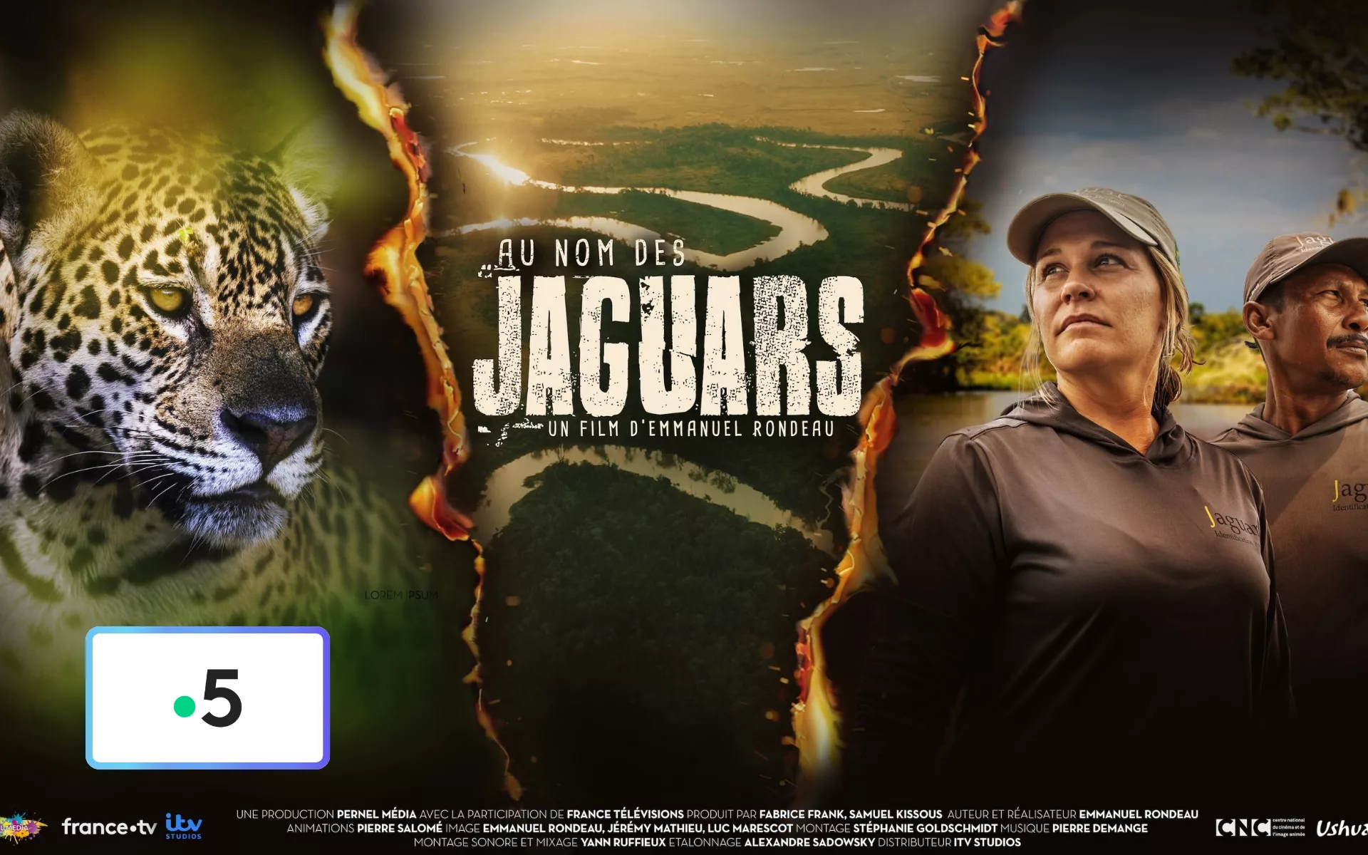Au nom des jaguars : une course contre la montre pour sauver le prédateur ultime