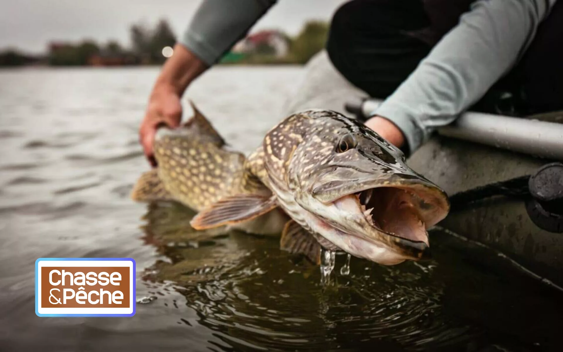 Une soirée exceptionnelle pour l’ouverture de la truite : Chasse & Pêche met les bouchées doubles !