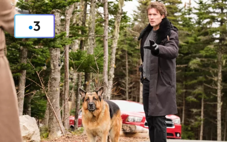 Hudson & Rex saison 6