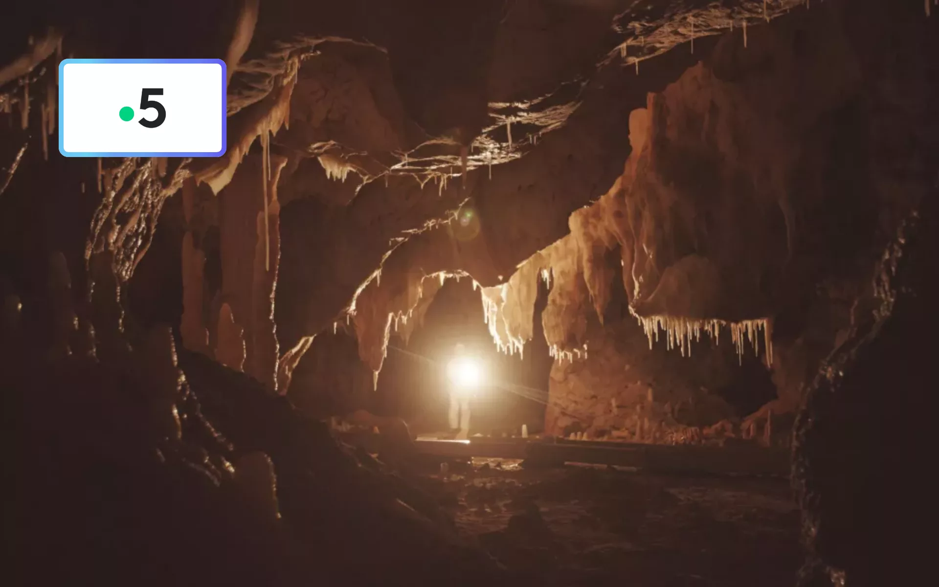 Chauvet, voyage aux origines