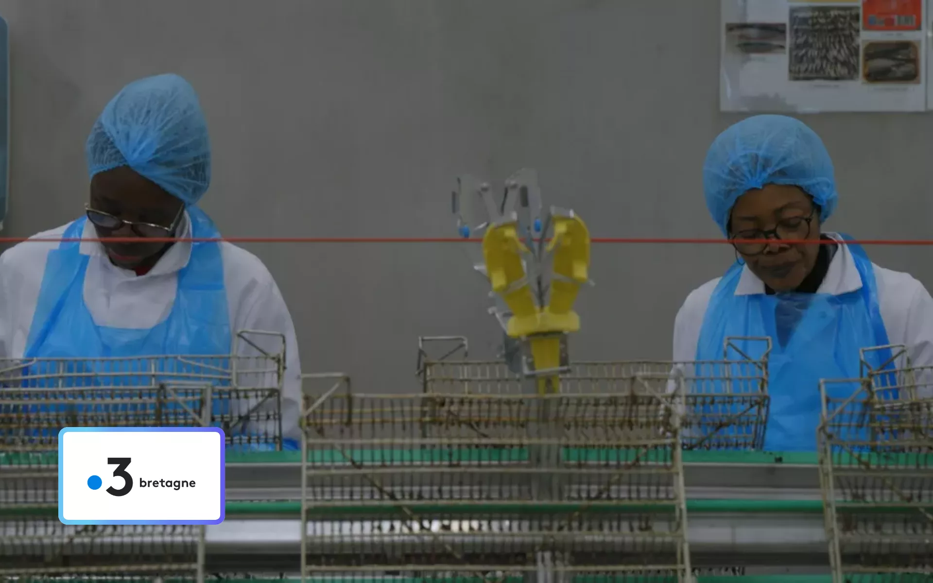 Les documentaires de France 3 Bretagne se distinguent !