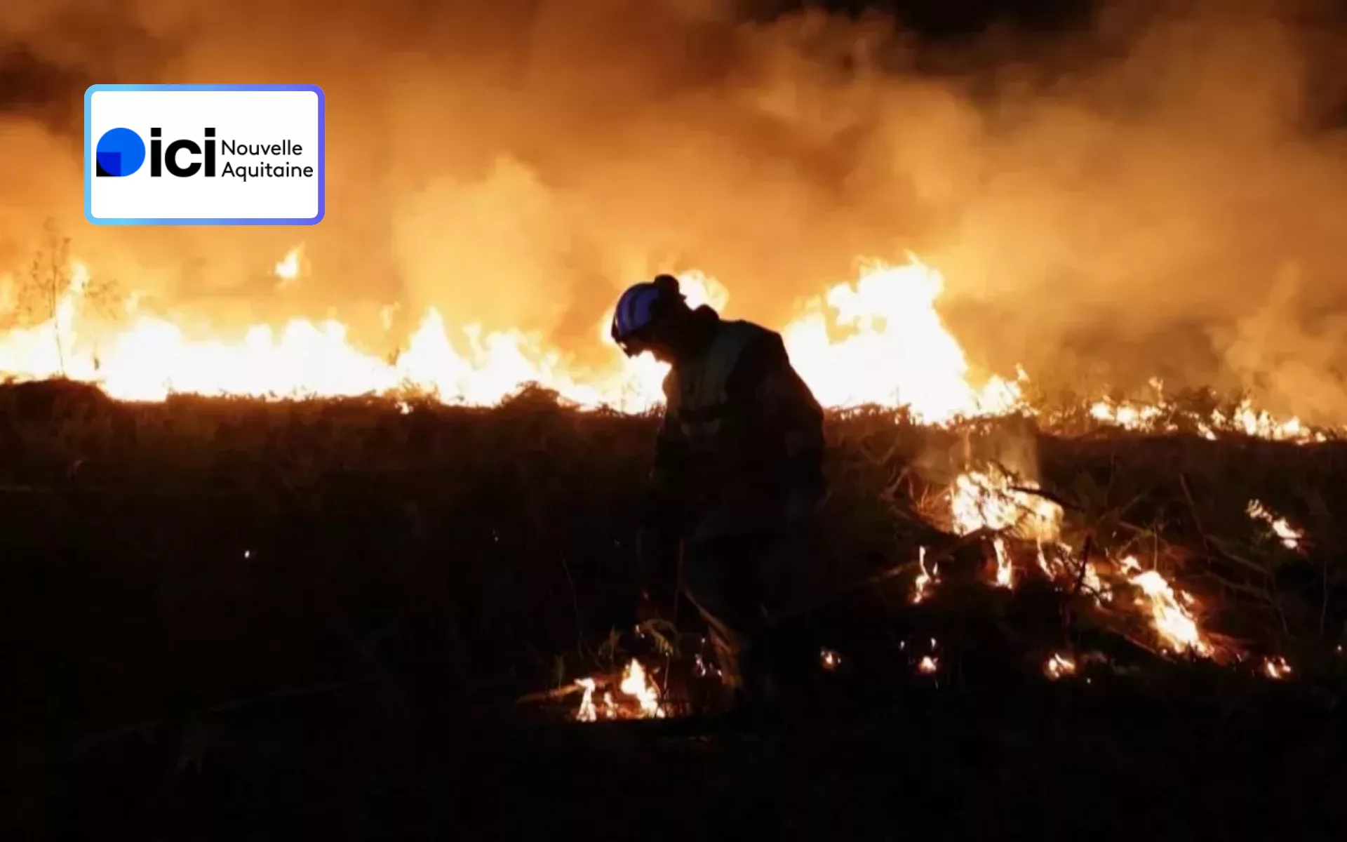 Après le feu, l’espoir : Comment la forêt des Landes renaît de ses cendres, jeudi sur France 3 Nouvelle Aquitaine