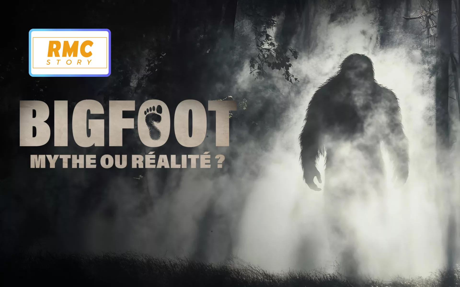 BIGFOOT : MYTHE OU RÉALITÉ ?