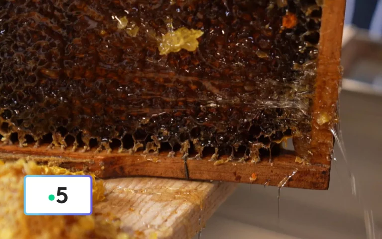 Miel : Un « buzziness » florissant