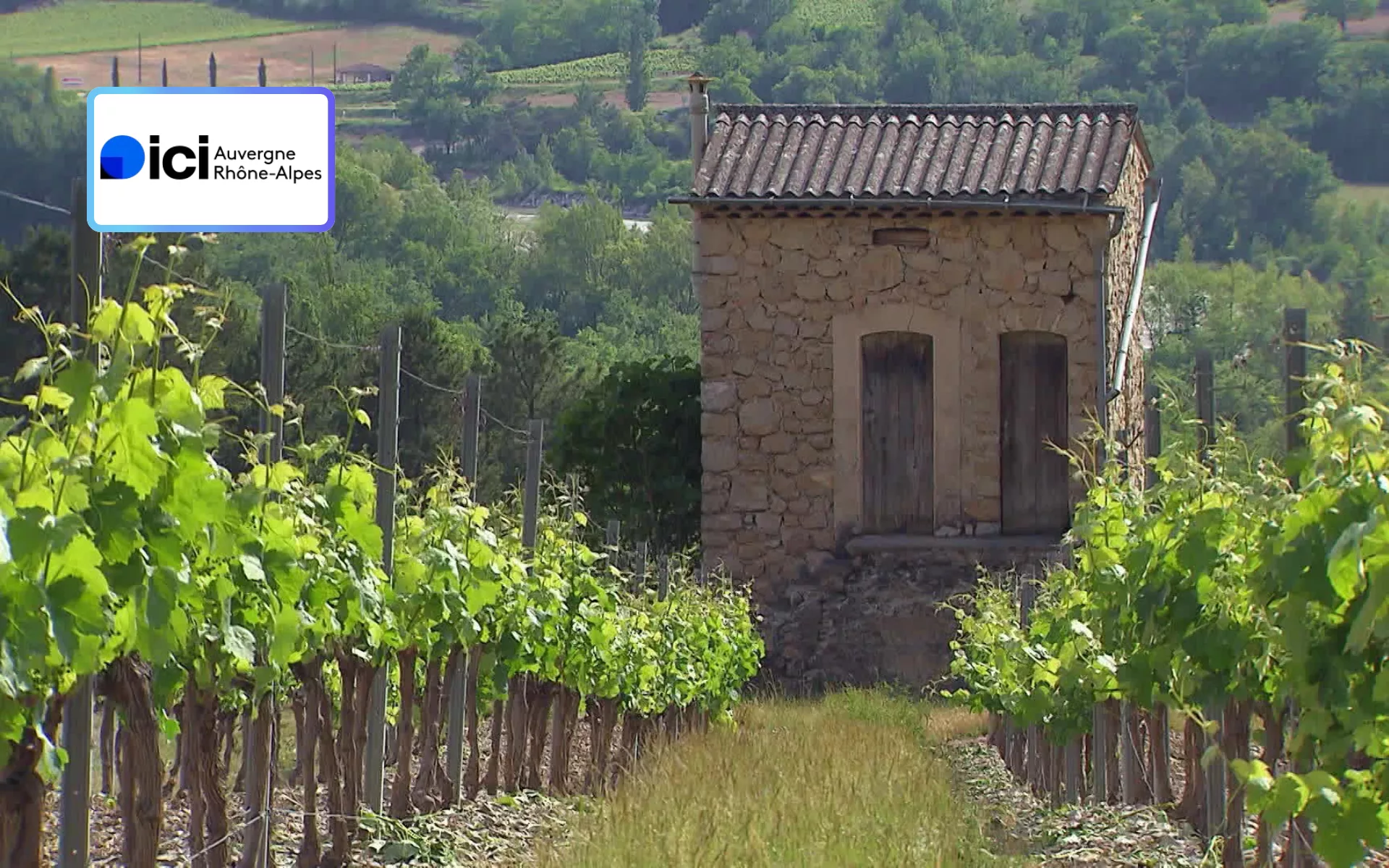 Drôme Ardèche, les terres jumelles