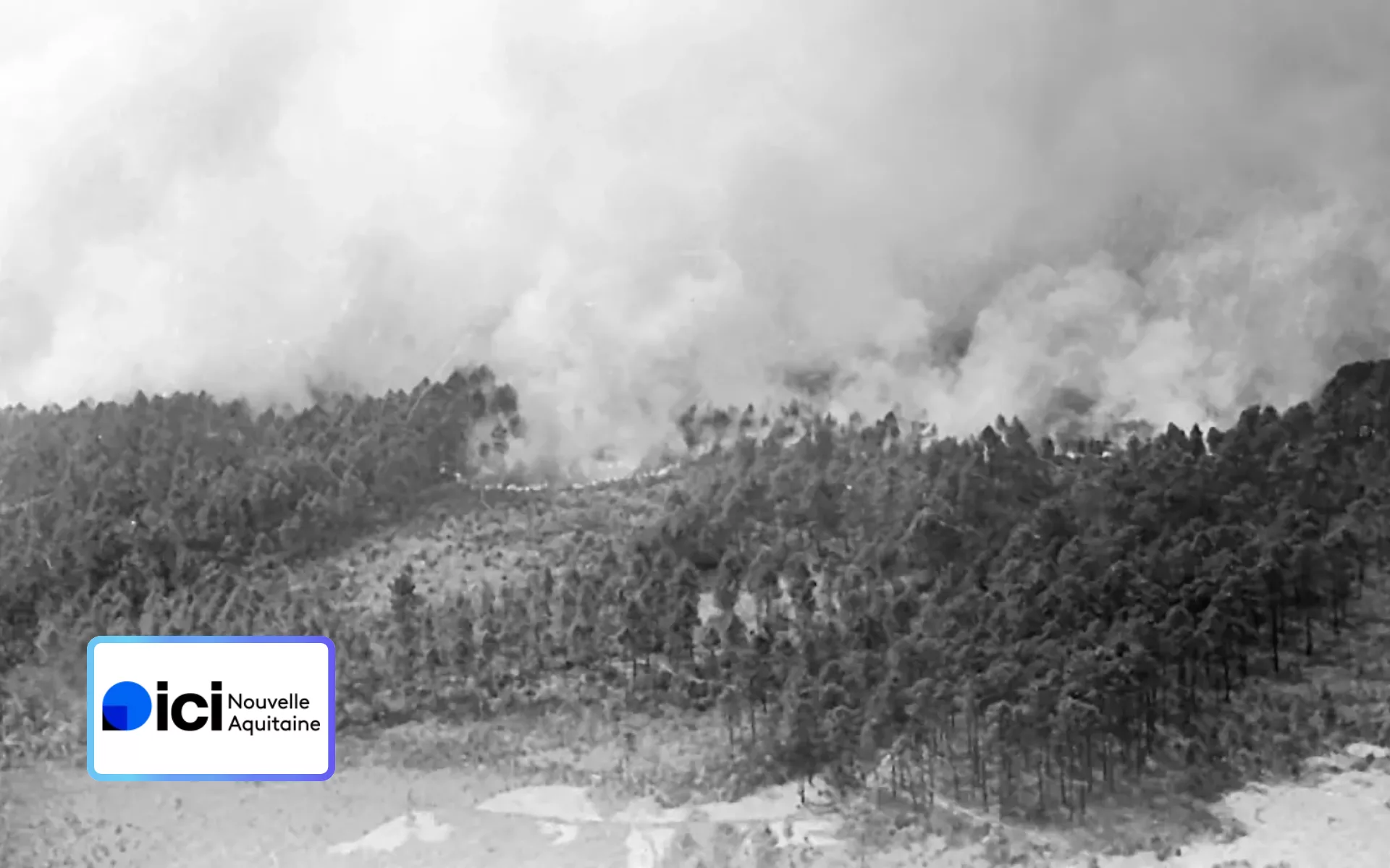 Le brasier de l’enfer : France 3 Nouvelle Aquitaine exhume l’incendie qui a fait trembler les Landes en 1949