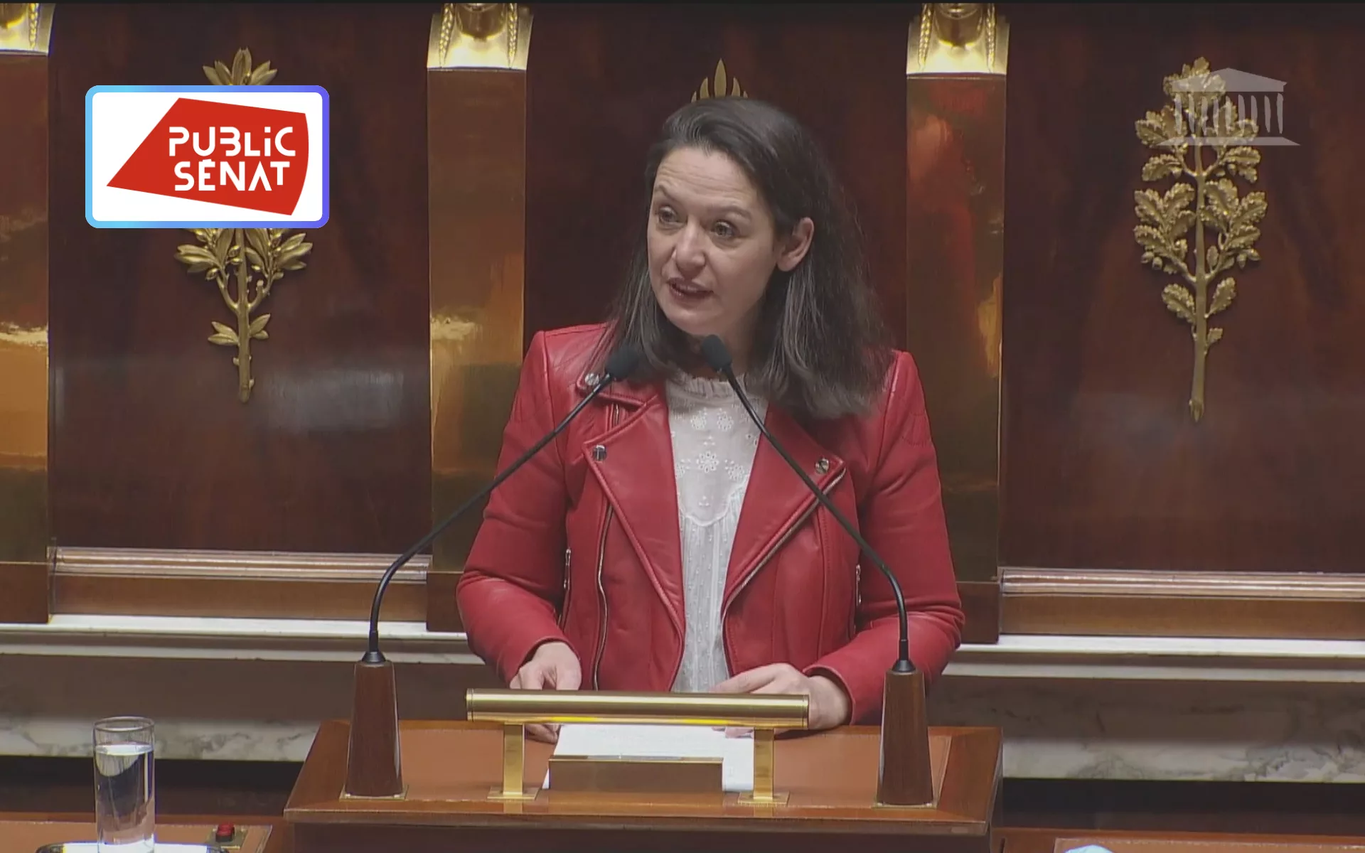 L'émancipation des femmes : une histoire d'argent