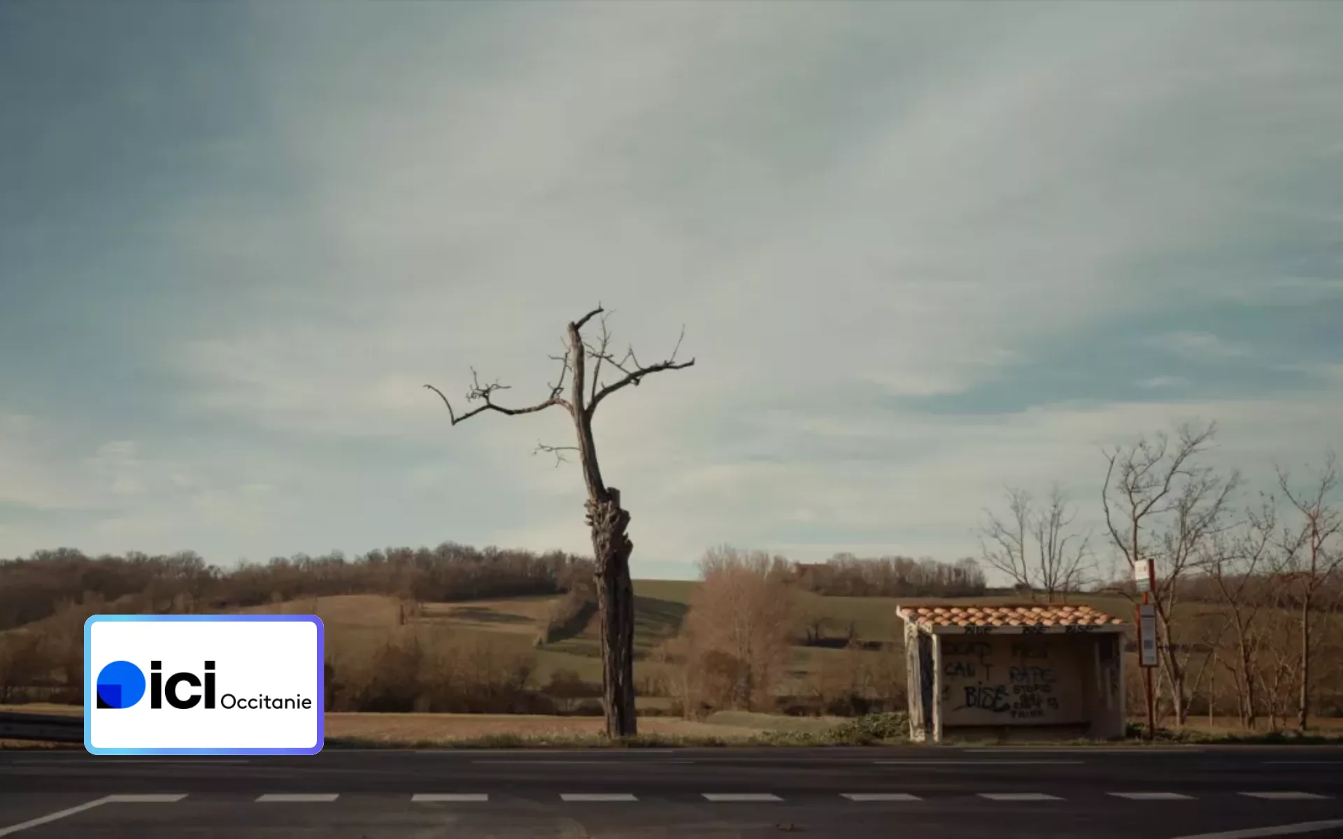 Car monde : un documentaire bouleversant sur les routes de l’Occitanie où le bus devient le théâtre de nos vies rurales