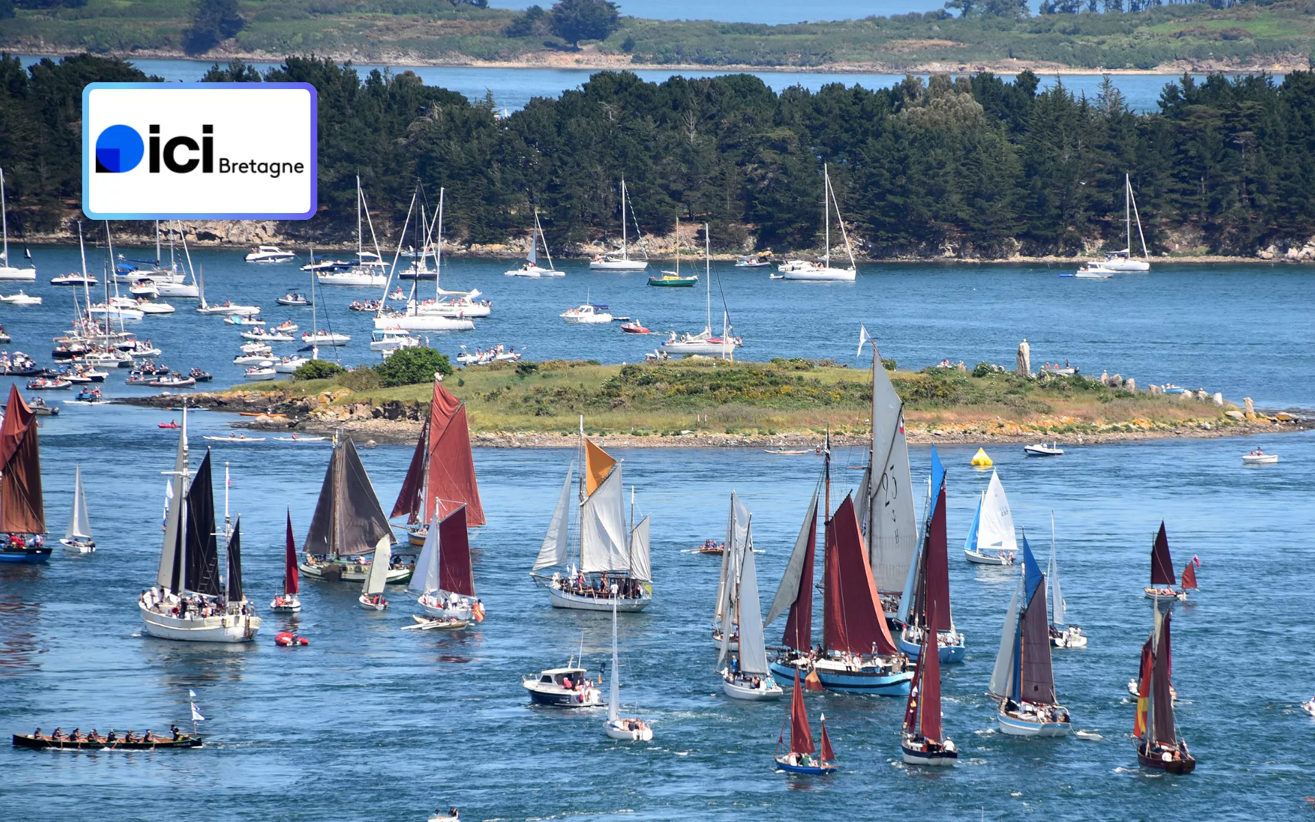 1300 voiliers, des marins passionnés et France 3 en immersion : la Semaine du Golfe du Morbihan s’invite sur vos écrans !