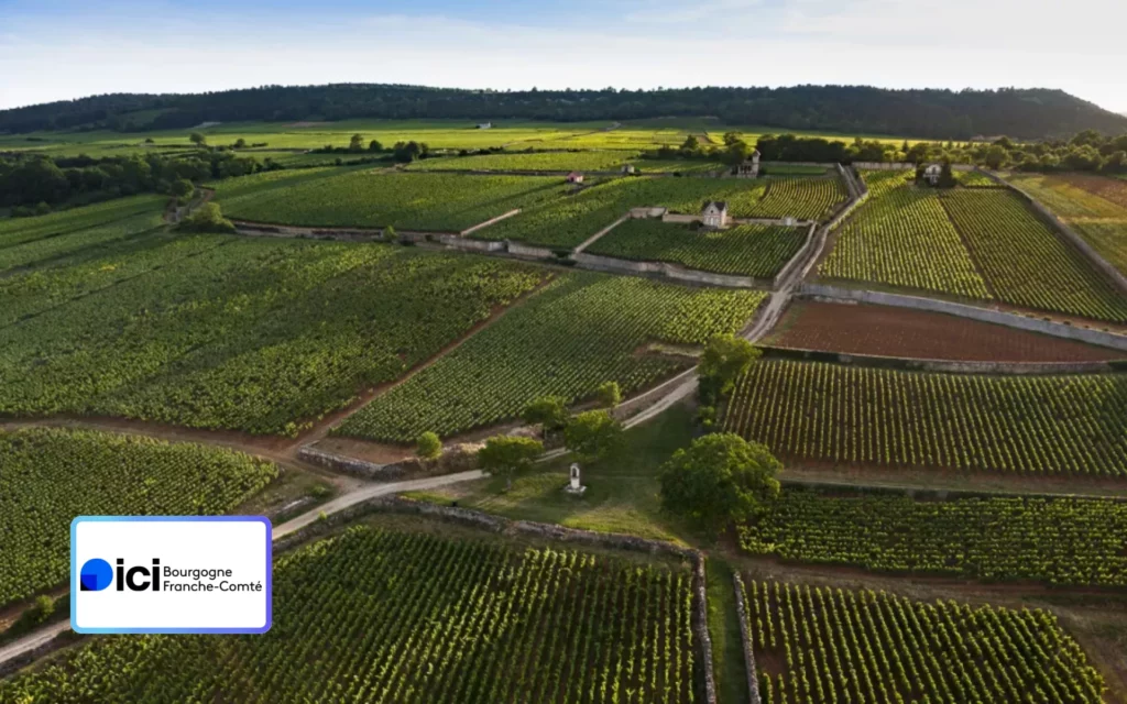 Émission spéciale : dix ans de l'inscription des Climats de Bourgogne au Patrimoine mondial de l'UNESCO