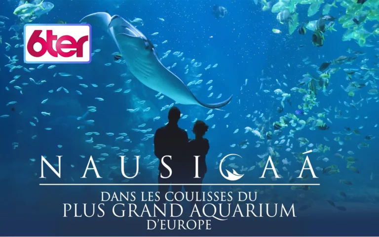 Nausicaà : dans les coulisses du plus grand aquarium d'Europe