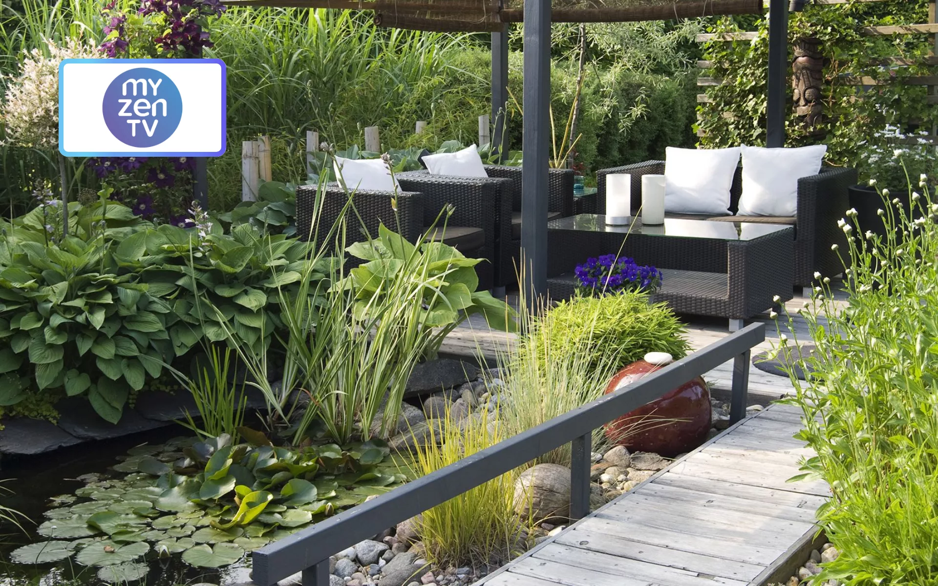 LE BEST-OF DE MYZEN TV