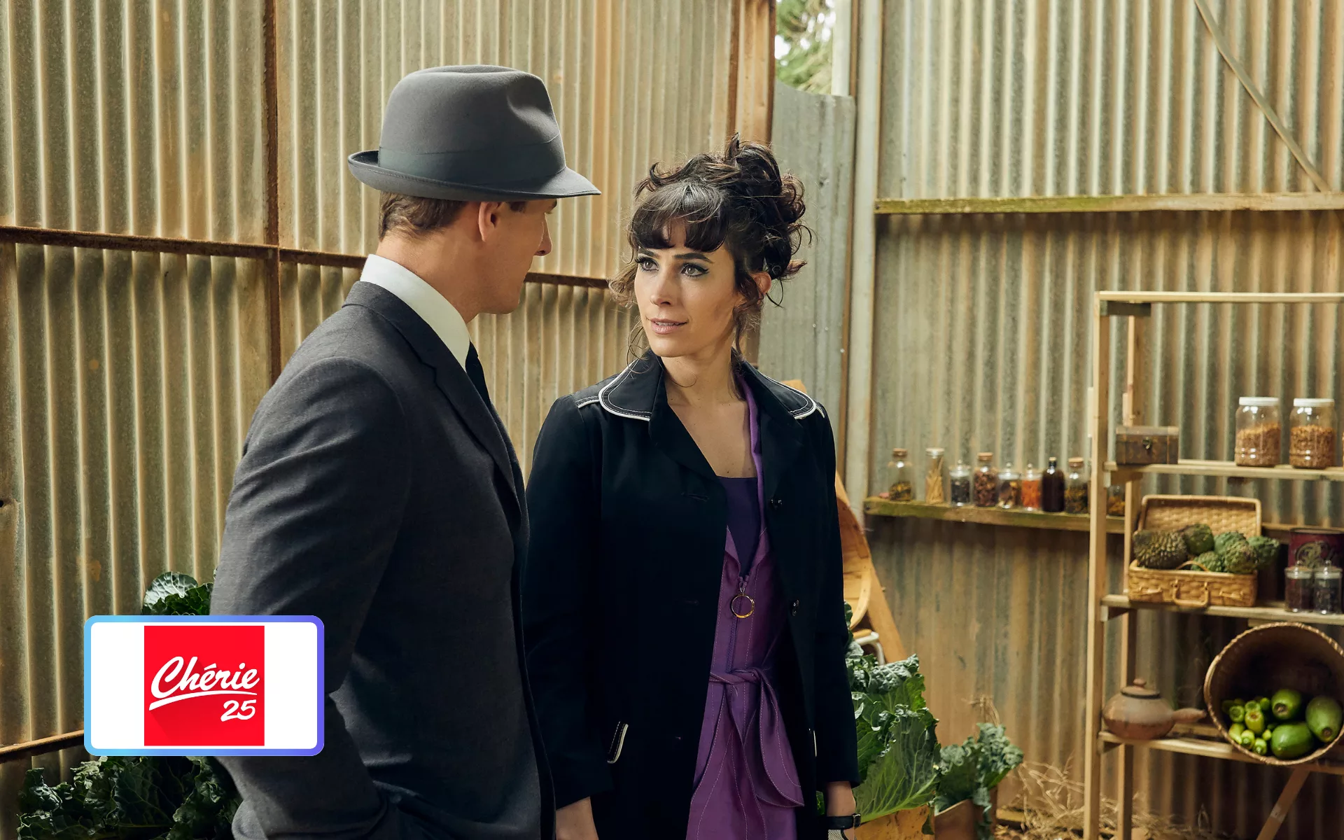 LES NOUVELLES ENQUETES DE MISS FISHER