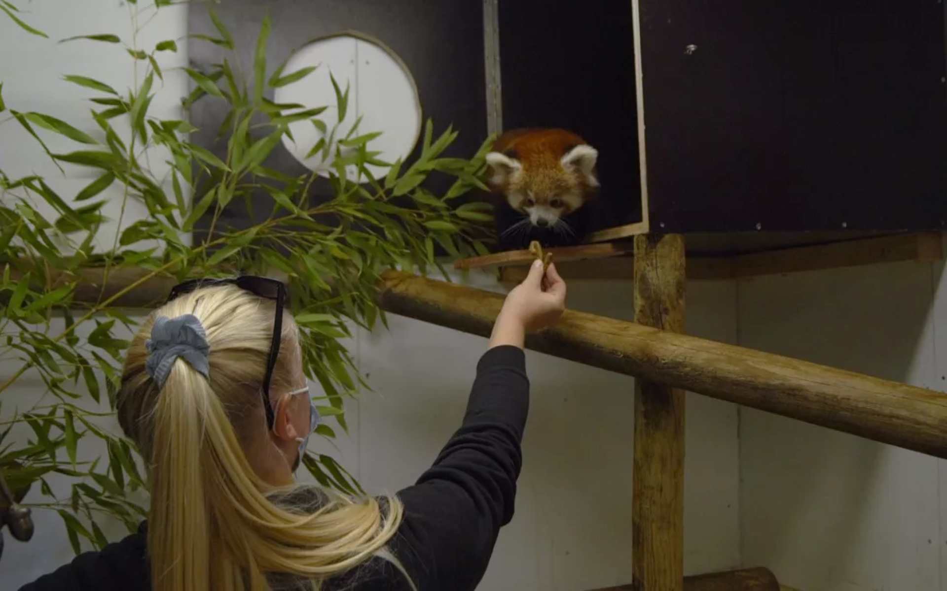 Au Zoo, il n'y a pas que des animaux !