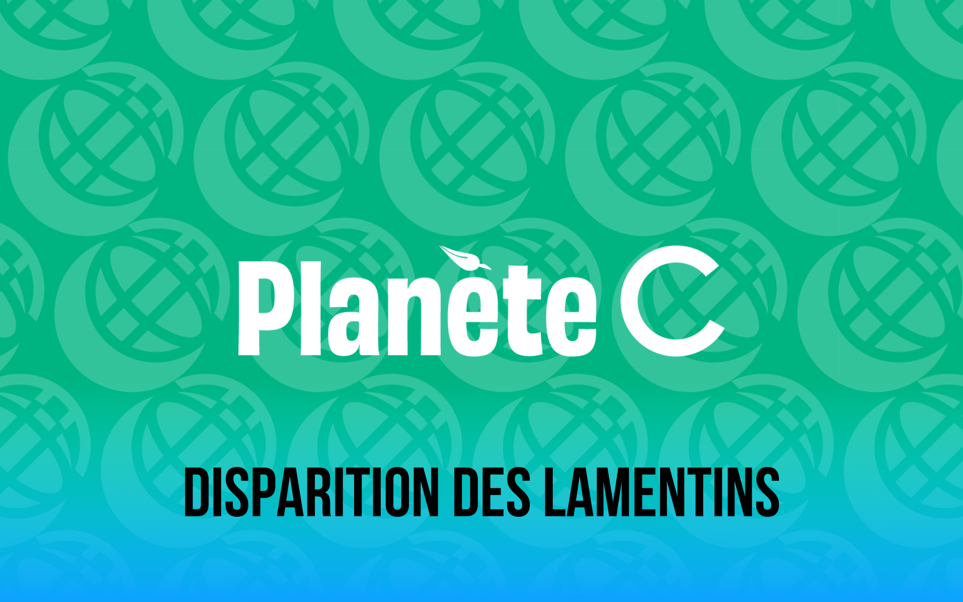 Planète C Disparition des Lamentins : les parcs zoologiques peuvent-ils sauver des espèces ?