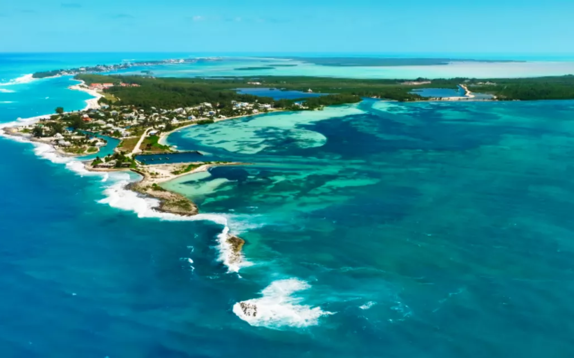 Thalassa, aventures extrêmes consacré à Bahamas, le royaume des requins