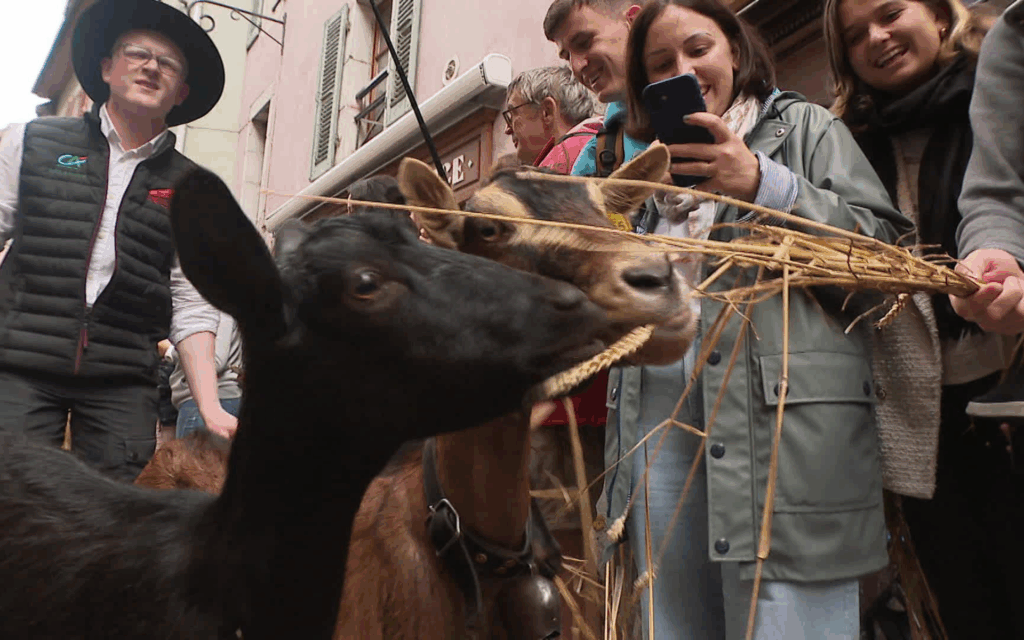La fête du retour des alpages à Annecy
