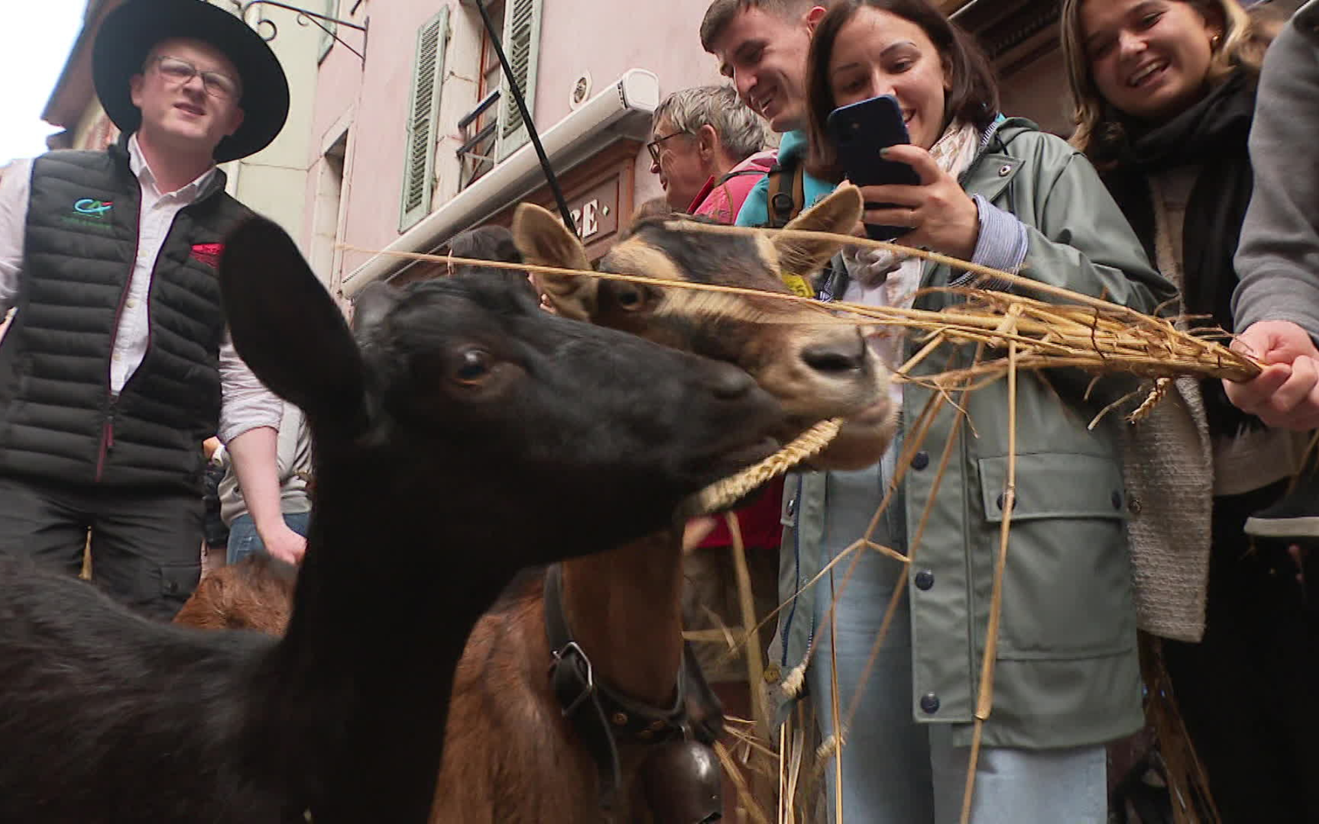 La fête du retour des alpages à Annecy