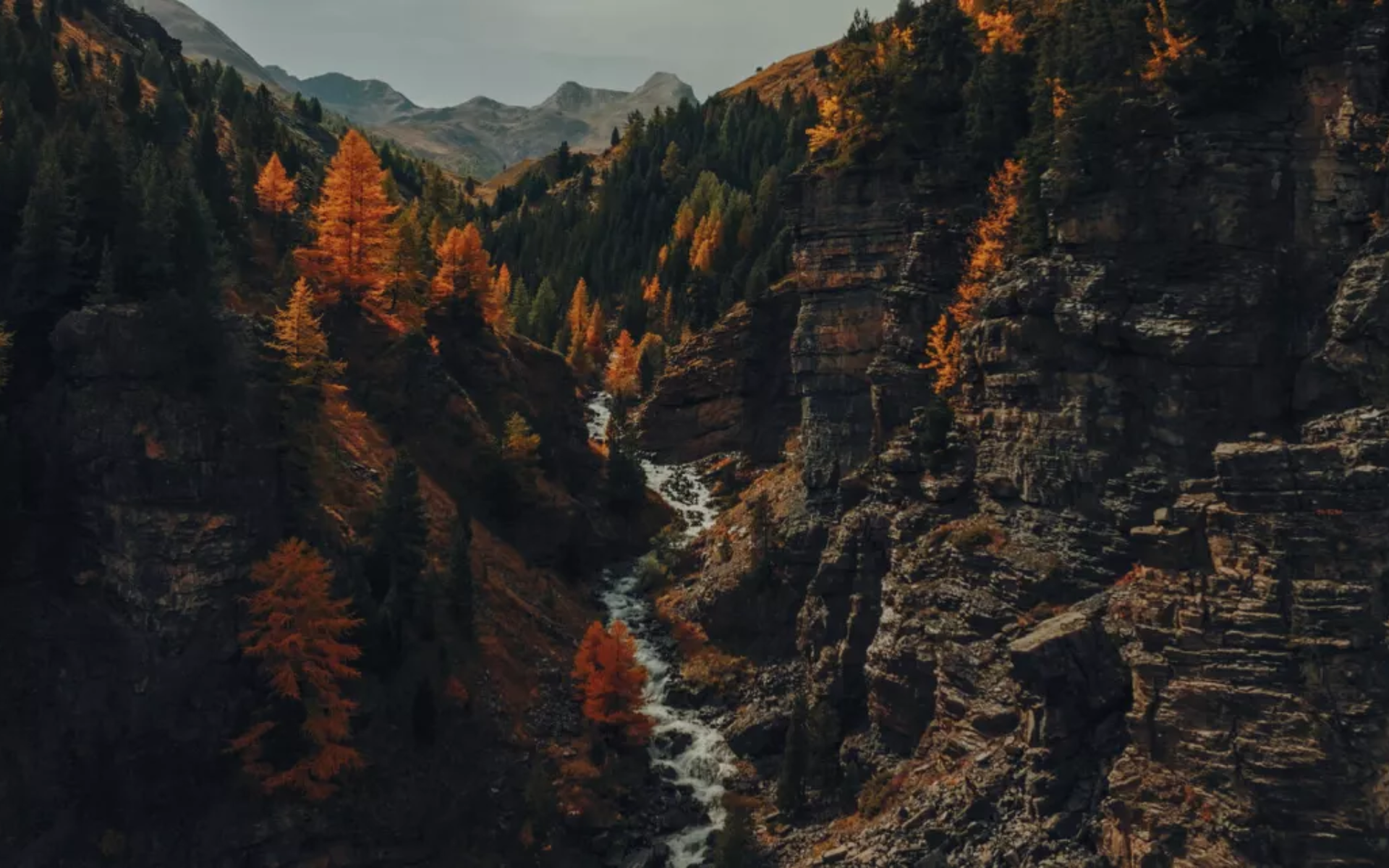 Voir l'automne, une saison en France