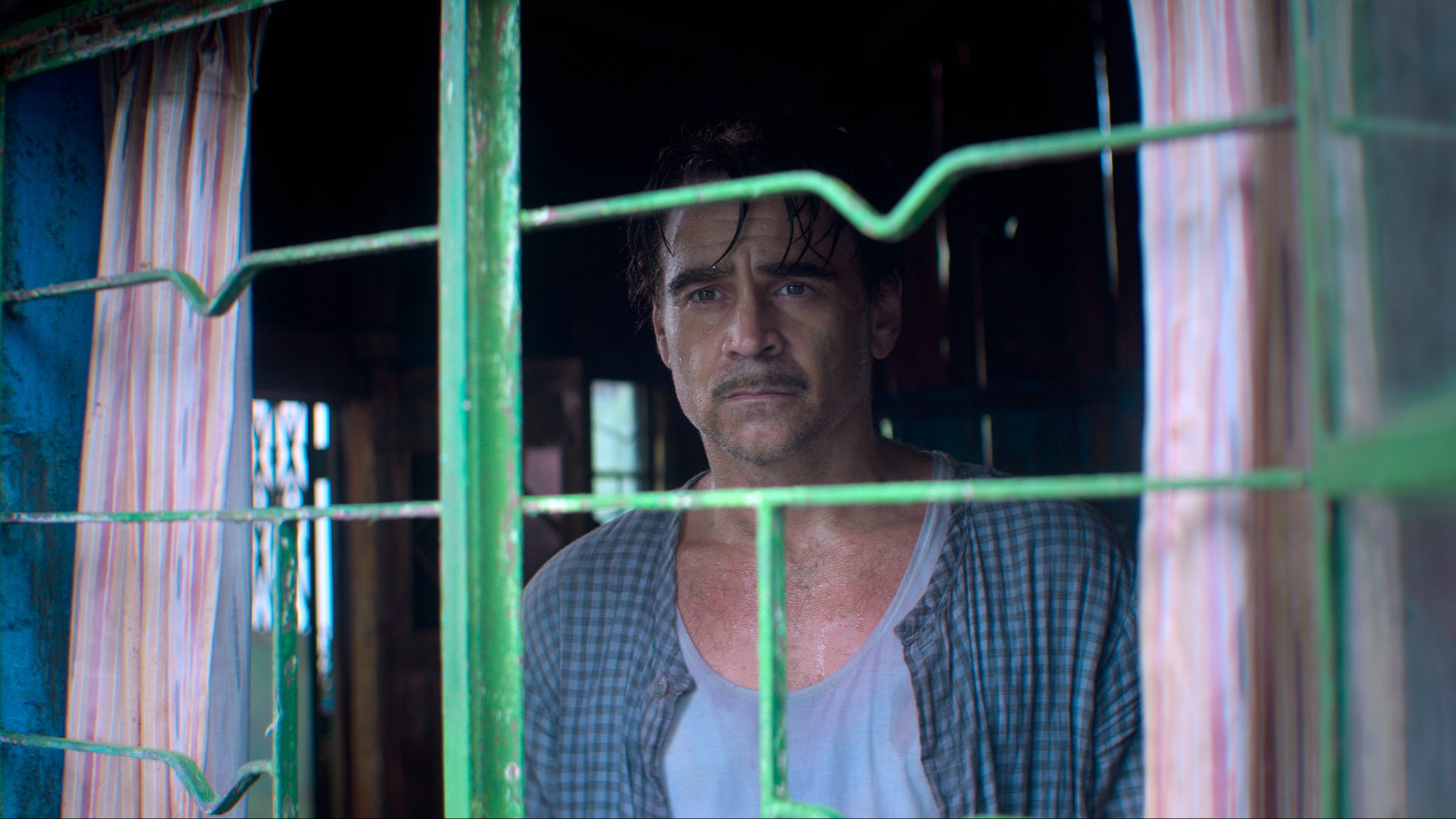 Ballad of a Small Player