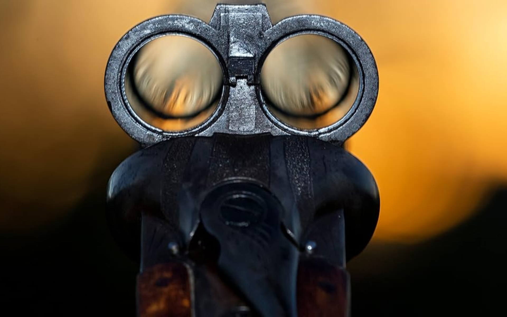 Tous Fous Du Calibre 20