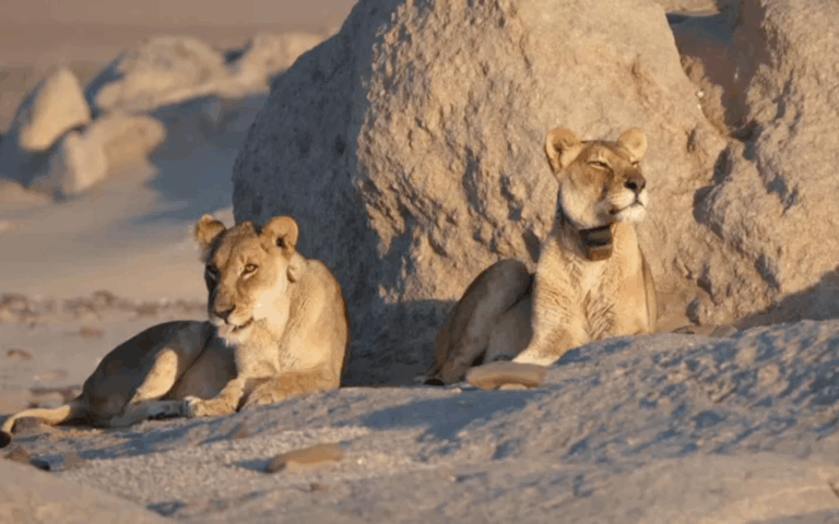 Namibie, la côte sauvage Thalassa, aventures extrêmes