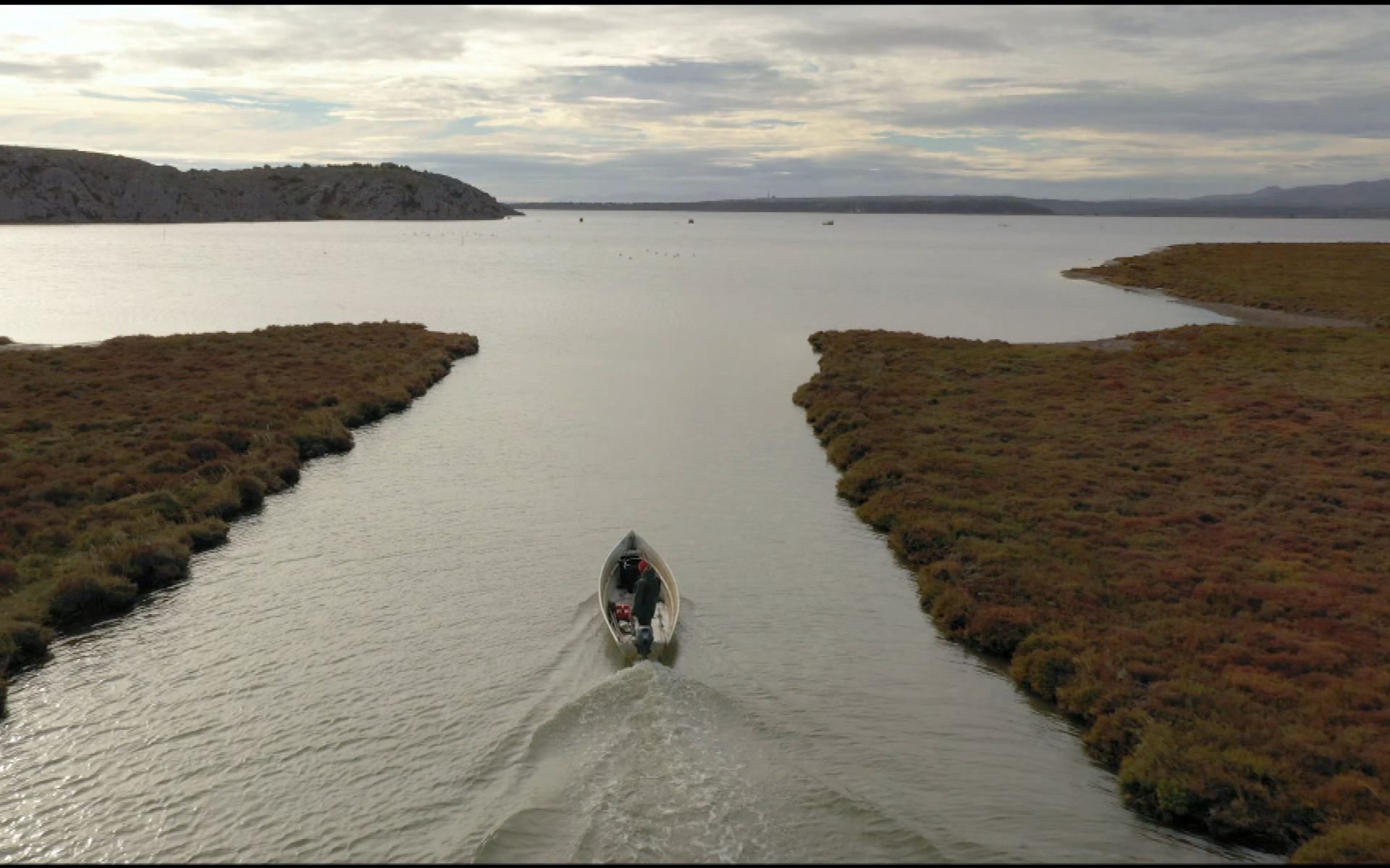 Les carnets de Julie Grand Format sur NOVO19 : un voyage gourmand sur les routes du Pays Cathare