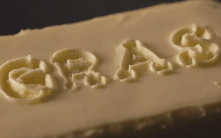 Alimentation, la revanche du gras