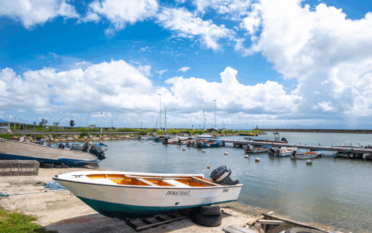 Échappées belles S19 - De la Guadeloupe à Saint-Martin
