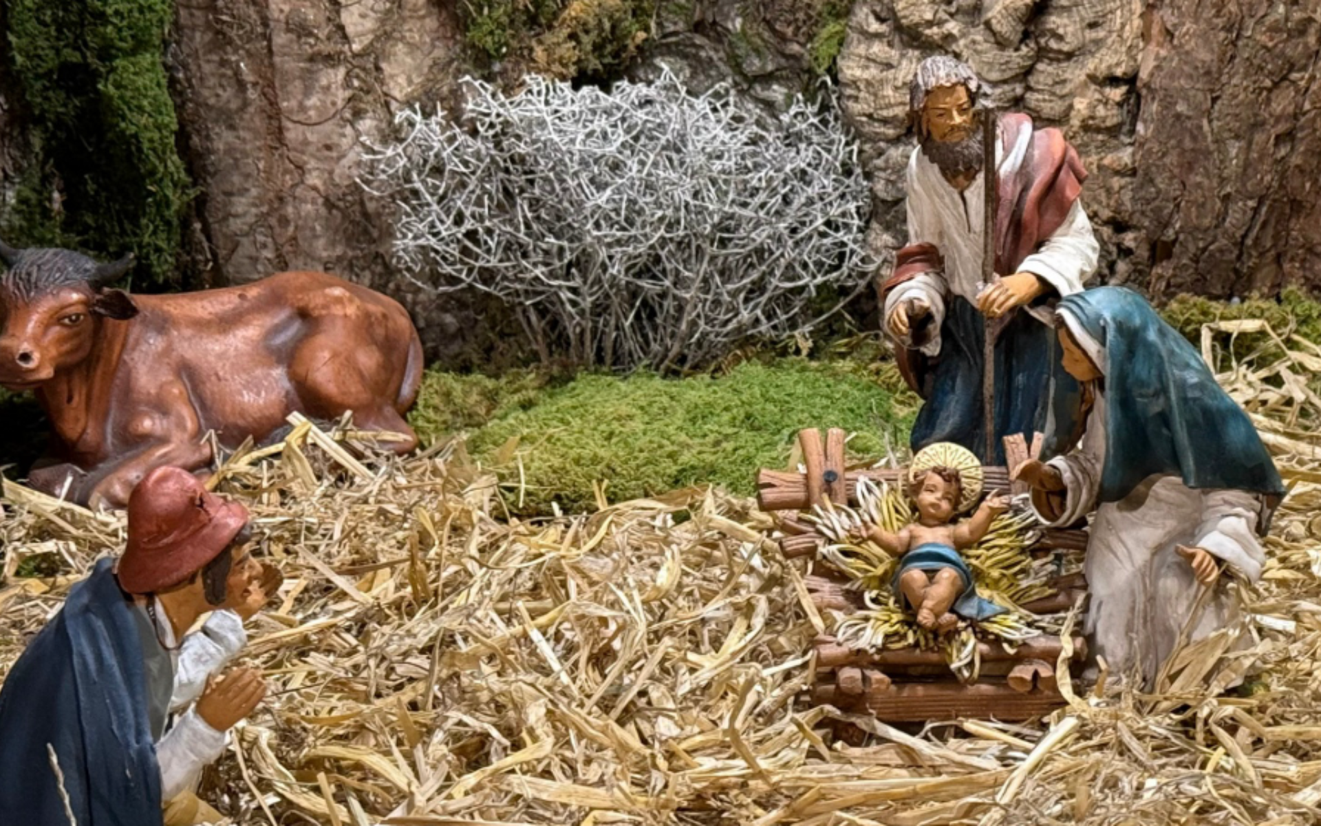 La crèche aux 5 sens