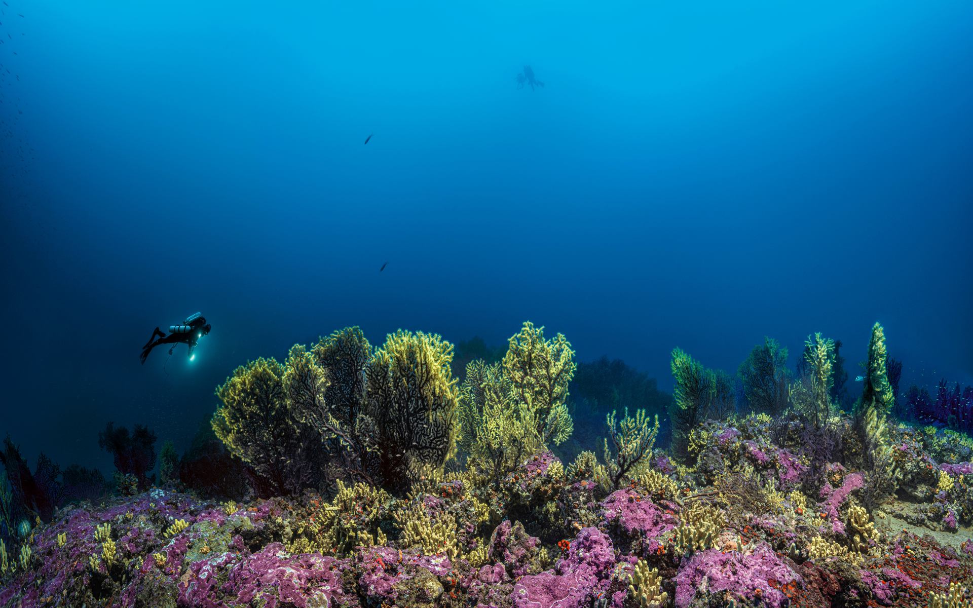 Cap Corse : le mystère des anneaux