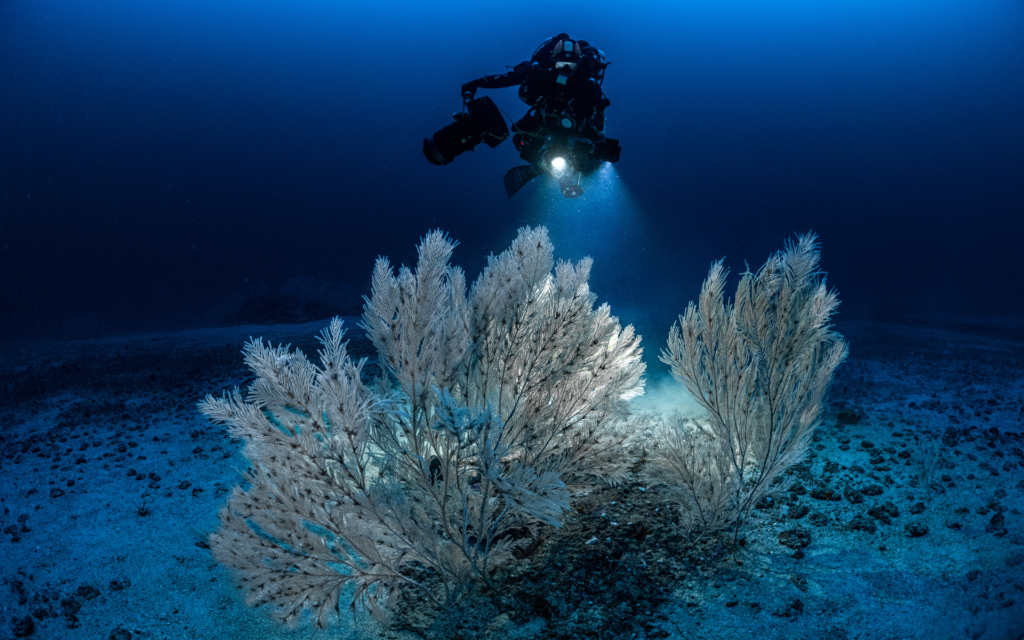 Cap Corse : le mystère des anneaux

