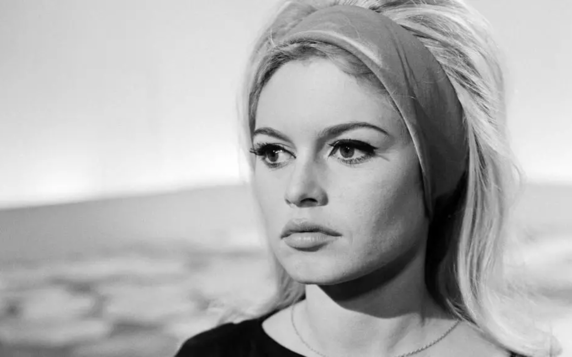 LCP rediffuse Rembob’INA - Le myhe Bardot, une émission consacrée à Brigitte Bardot - dimanche 28 décembre 2025
