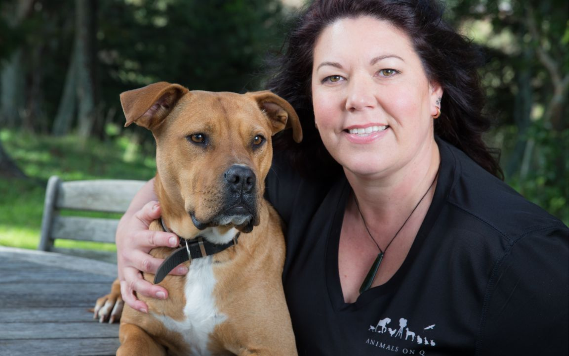 Du refuge au tapis rouge, la saison 2 arrive ce mardi sur Dog & Cat TV