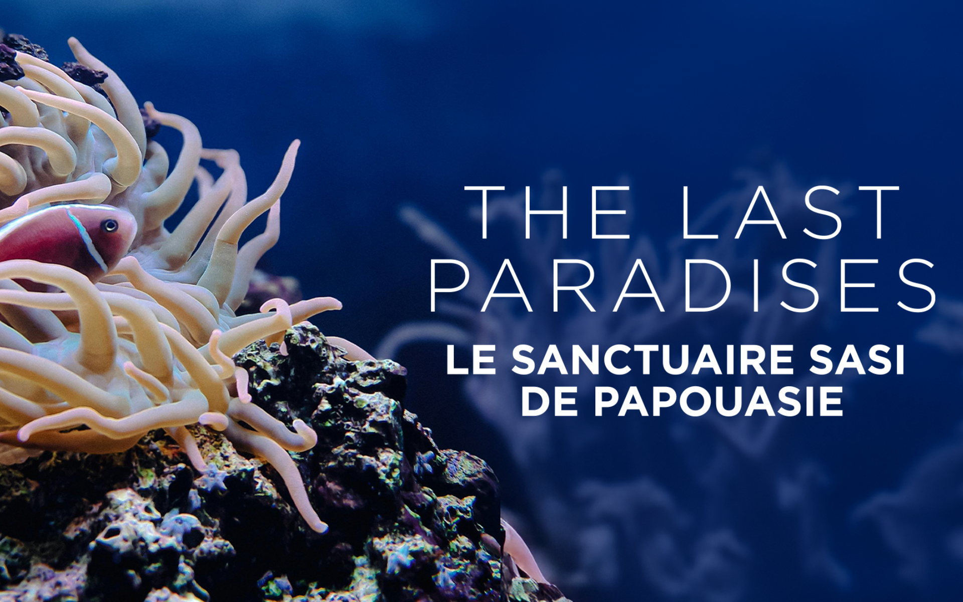 The Last Paradises : le Sanctuaire SASI de Papouasie