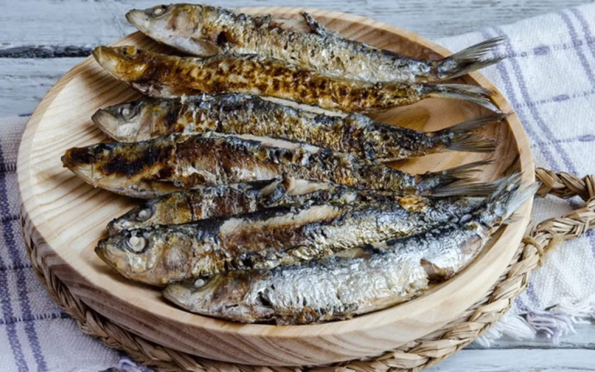 Ma première foire aux harengs et à la coquille