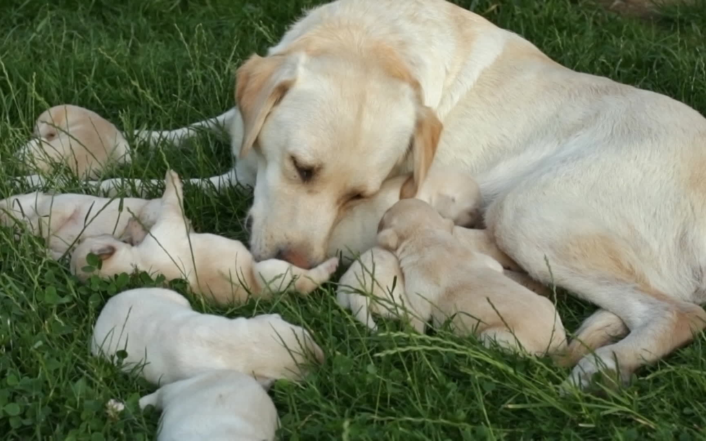 30 millions d'ennemis