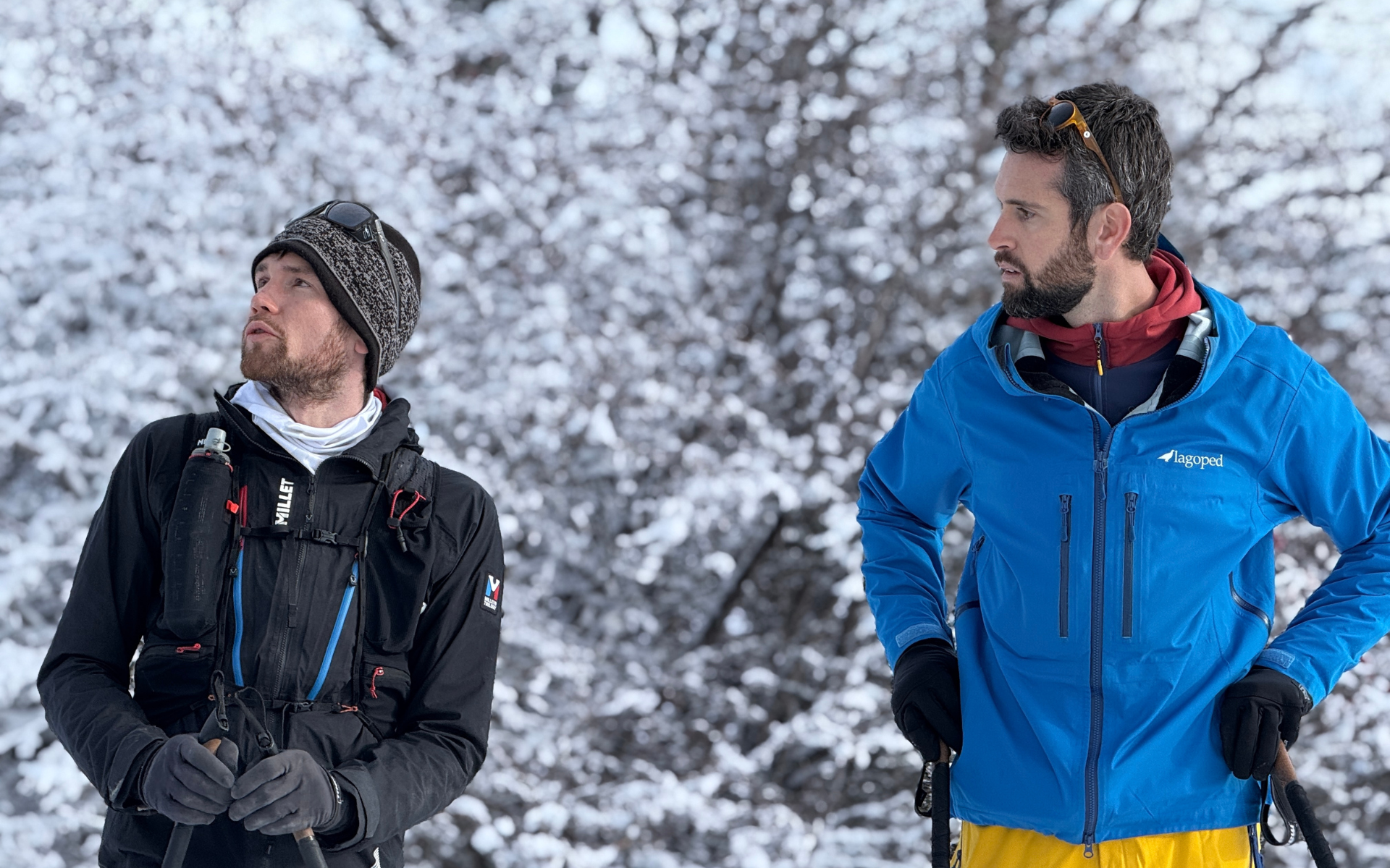 Chroniques d'en haut