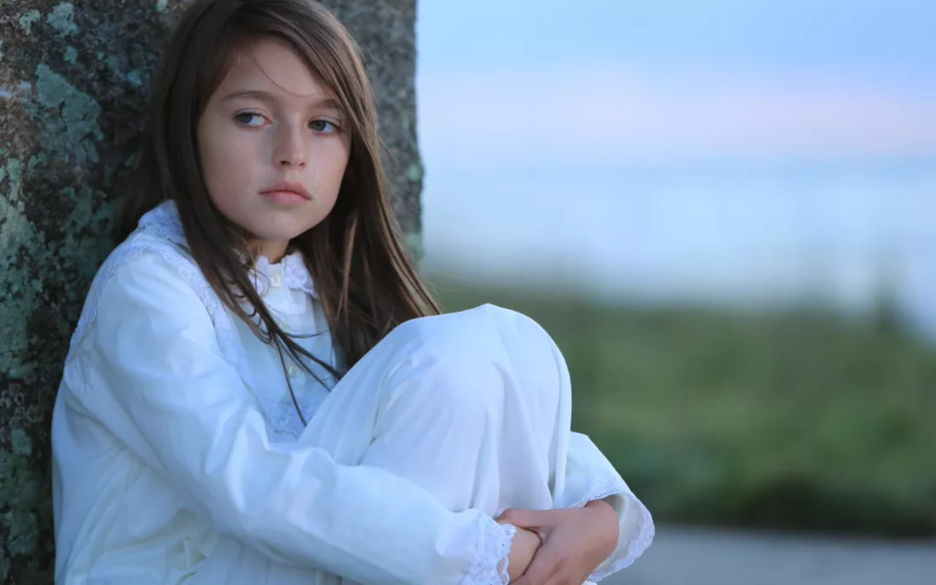 les blessures de l'ile