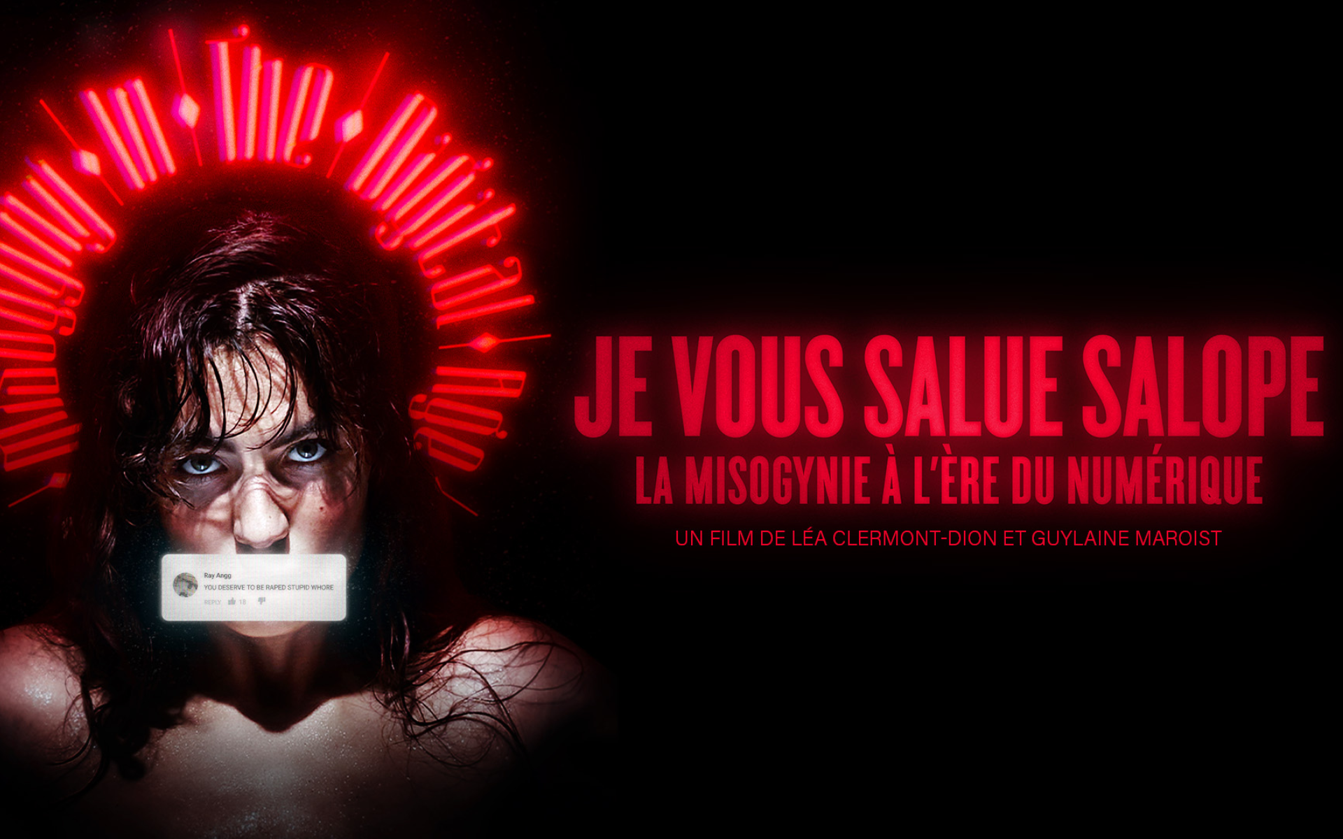 Je vous salue salope : la misogynie au temps du numérique